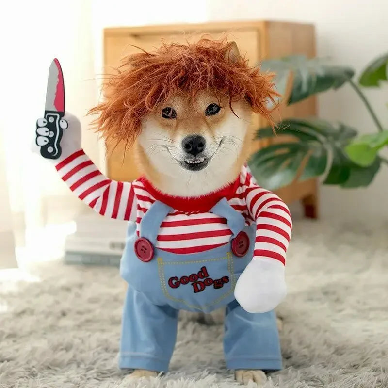 AmoriPet Dog Halloween Costume - amoripet
