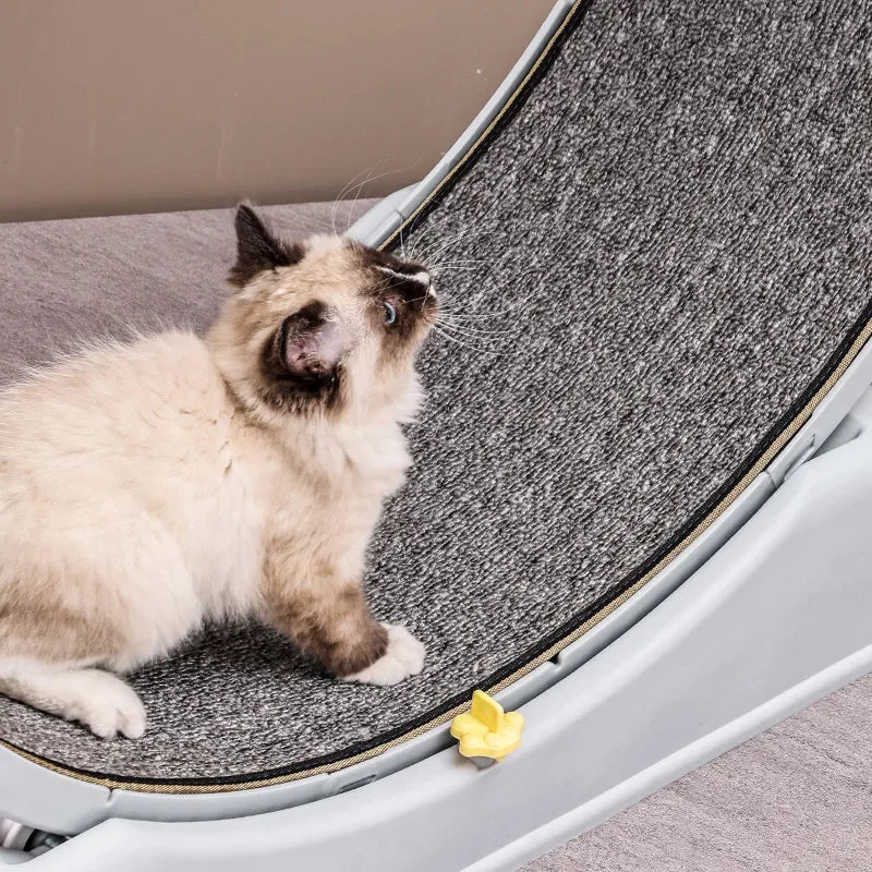 Amoripet CatClimb Tunnel – Interactive Climber & Tunnel for Cats - amoripet