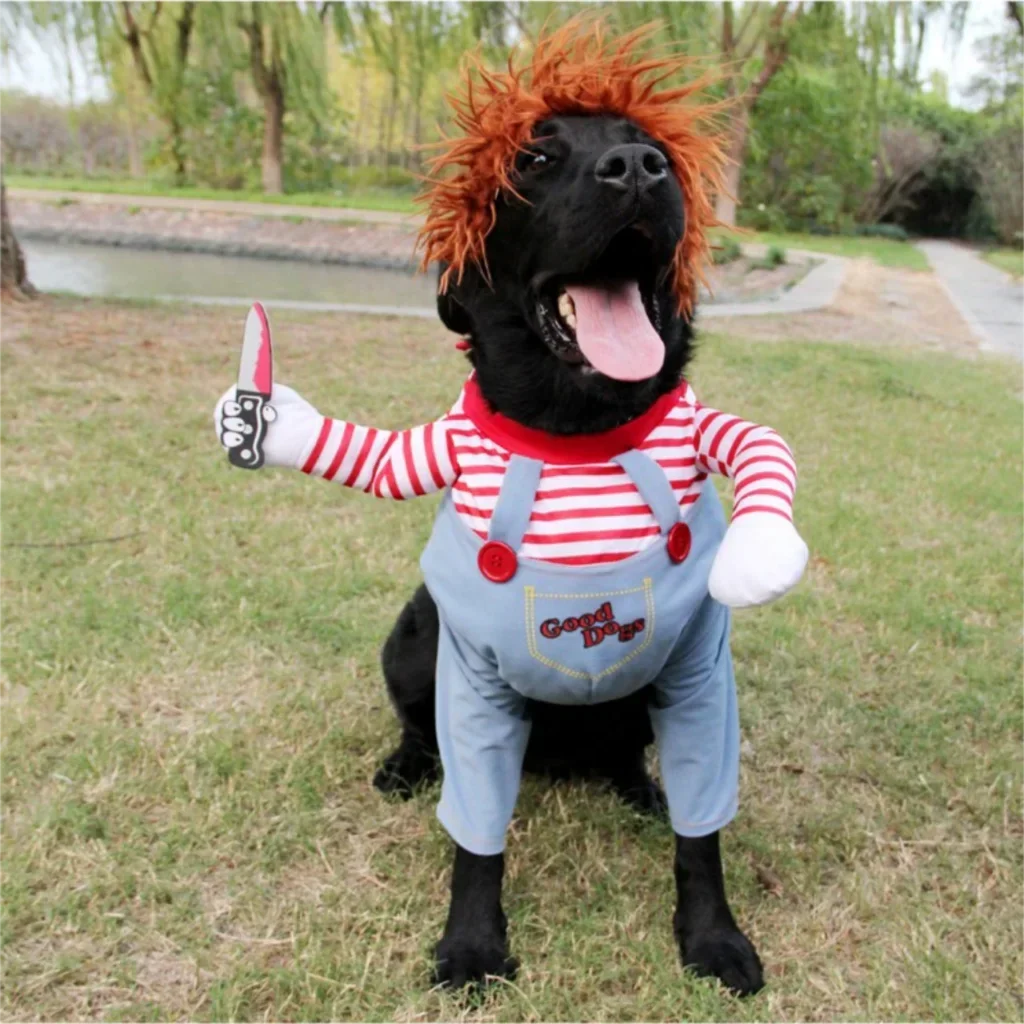 AmoriPet Dog Halloween Costume - amoripet