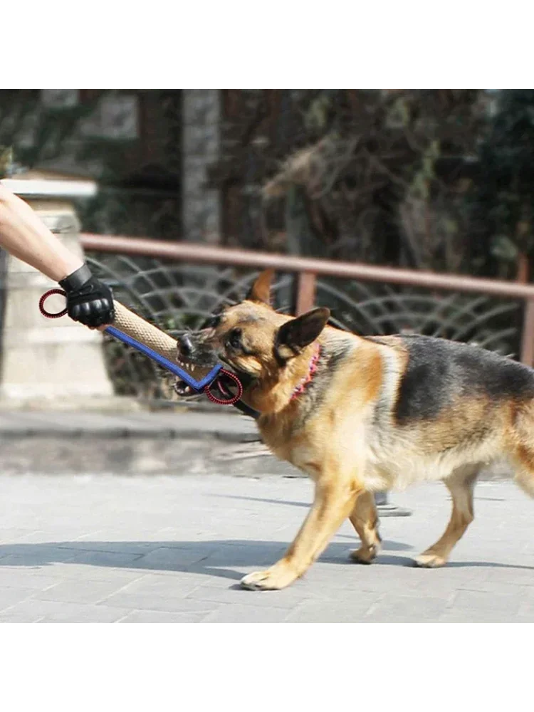 Amoripet JuteBite Trainer - amoripet