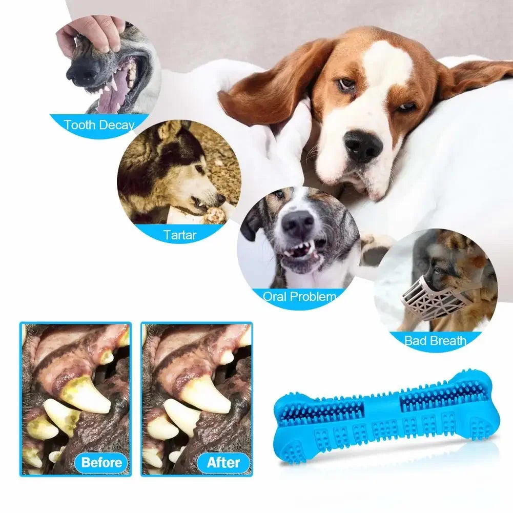 Amoripet ChewBrush 360 - amoripet