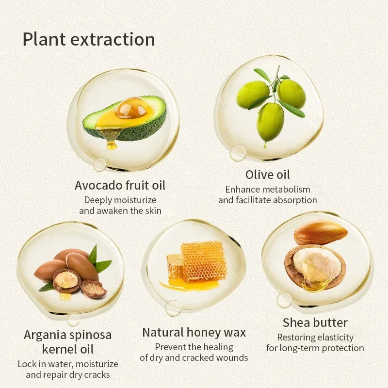 Amoripet PawCare Cream – Moisturizing Paw Balm for Dogs and Cats - amoripet