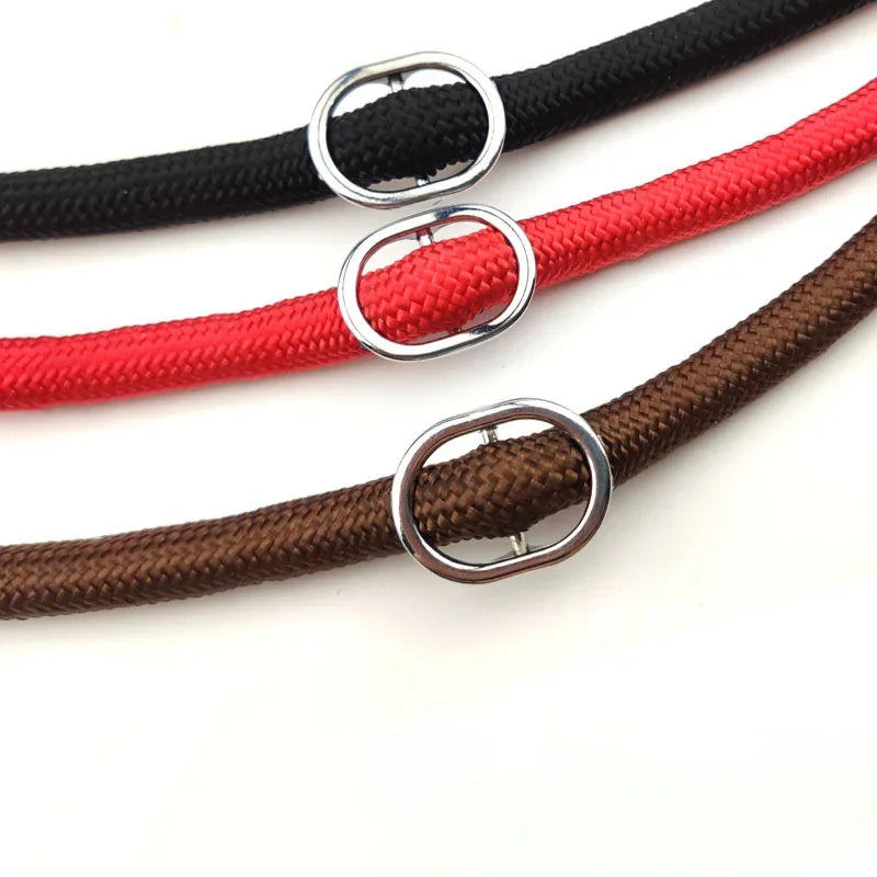 Amoripet SlipRope Trainer – Adjustable Rope Training Collar for Dogs - amoripet