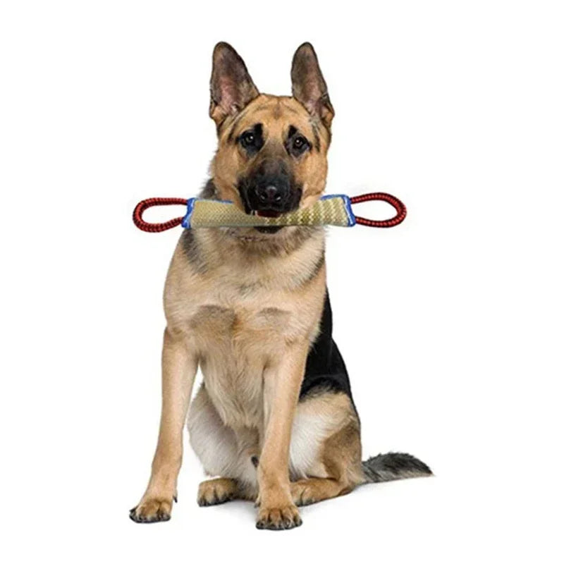 Amoripet JuteBite Trainer - amoripet
