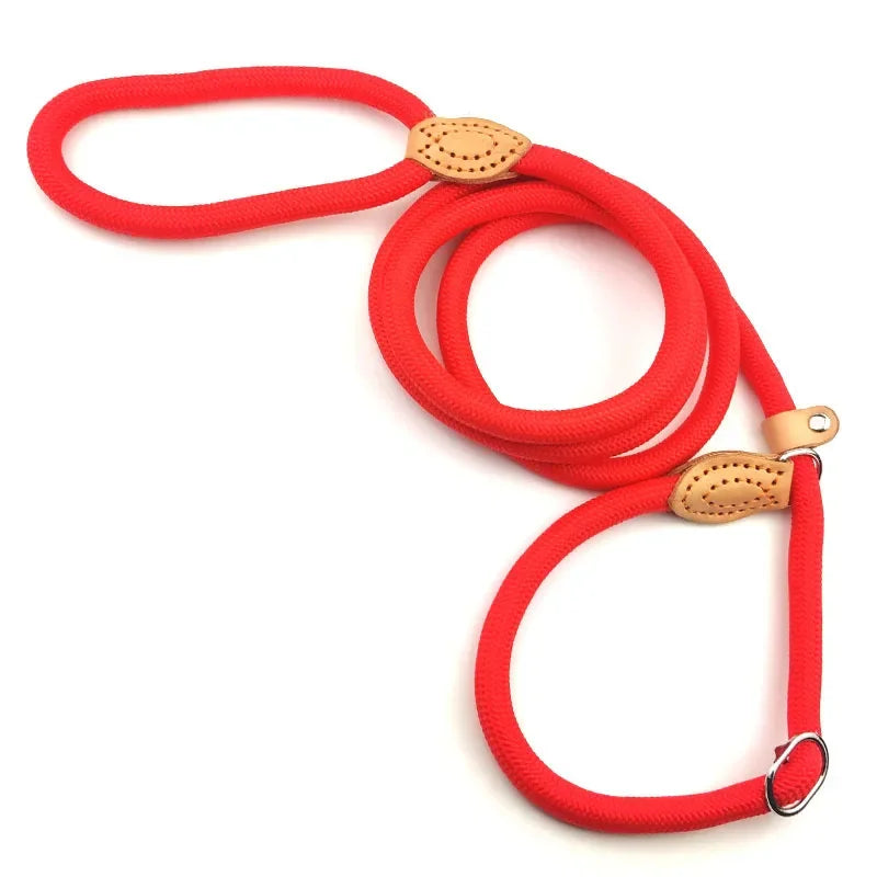 Amoripet SlipRope Trainer – Adjustable Rope Training Collar for Dogs - amoripet
