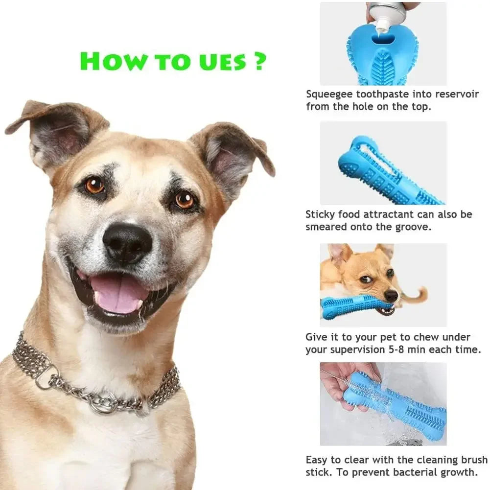 Amoripet ChewBrush 360 - amoripet