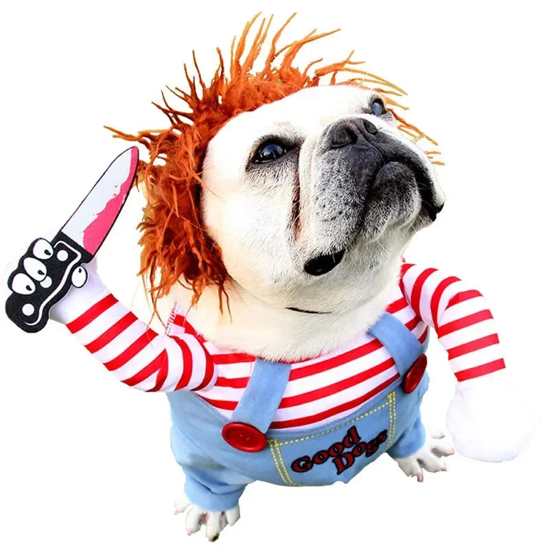 AmoriPet Dog Halloween Costume - amoripet