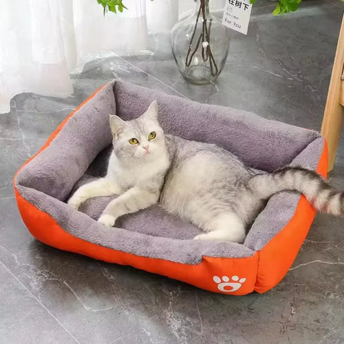 AmoriPet CozyNest - amoripet