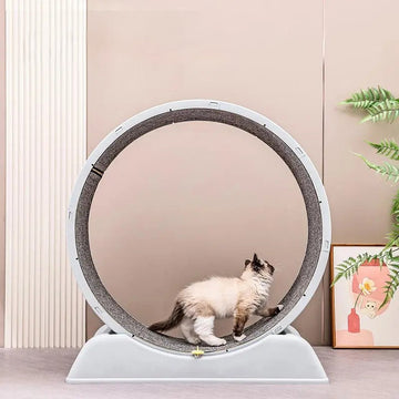 Amoripet CatClimb Tunnel – Interactive Climber & Tunnel for Cats
