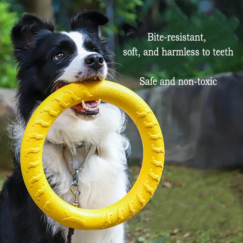 AmoriPet PlayStrong – toy kit - amoripet
