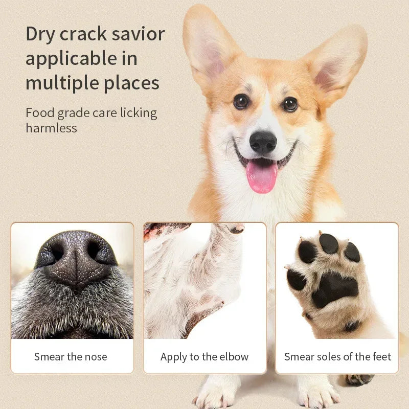 Amoripet PawCare Cream – Moisturizing Paw Balm for Dogs and Cats - amoripet