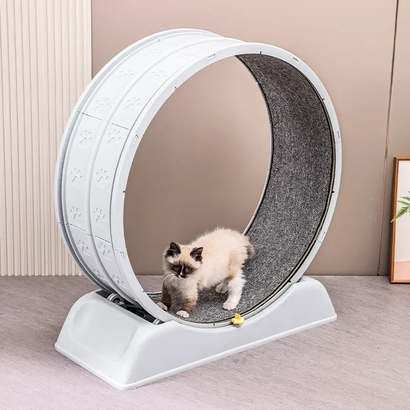 Amoripet CatClimb Tunnel – Interactive Climber & Tunnel for Cats - amoripet
