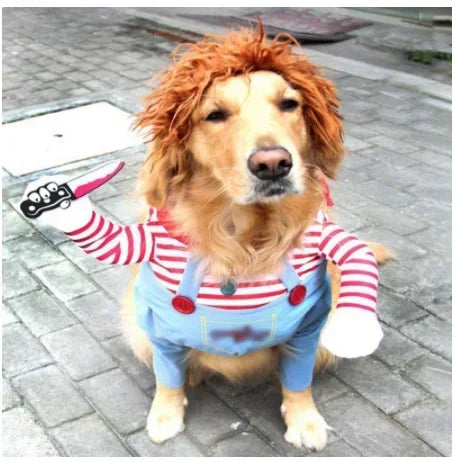 AmoriPet Dog Halloween Costume - amoripet
