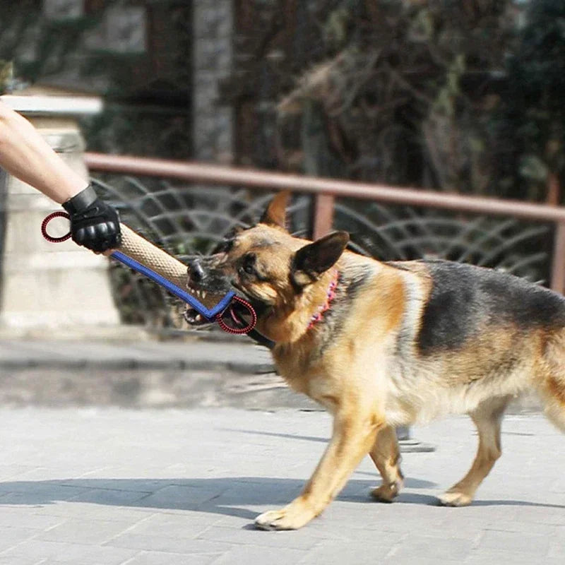 Amoripet JuteBite Trainer - amoripet